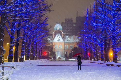 北海道庁旧本庁舎の雪景色の夜景