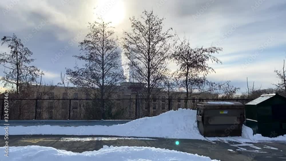 custom made wallpaper toronto digitalmanufacturing under the sun next to trees