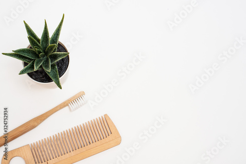 Green plant  wooden toothbrush on a white background. Eco-friendly hygiene and personal care products. Zero waste.