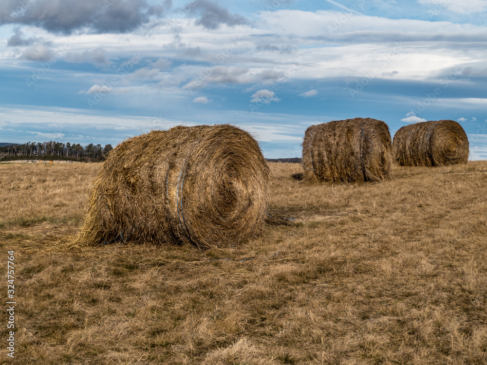rolls of hay strawn on the field