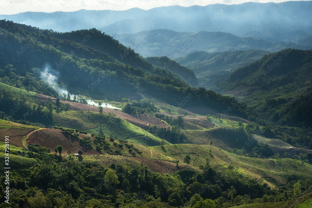 View of the forest that has been cleared and burned on the way to Pha Tang and Phu Chi Fah in Chiang Rai, Thailand. View of the forest that has been cleared and burned on the way to Pha Tang and Phu Chi Fah in Chiang Rai, Thailand.