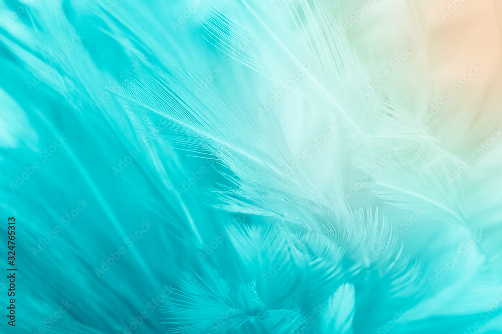 Beautiful green turquoise color trends feather texture background with orange light - obrazy, fototapety, plakaty 