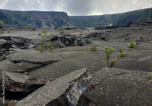 фотографія Kilauea Iki Trail in Hawaii Volcanoes National Park
