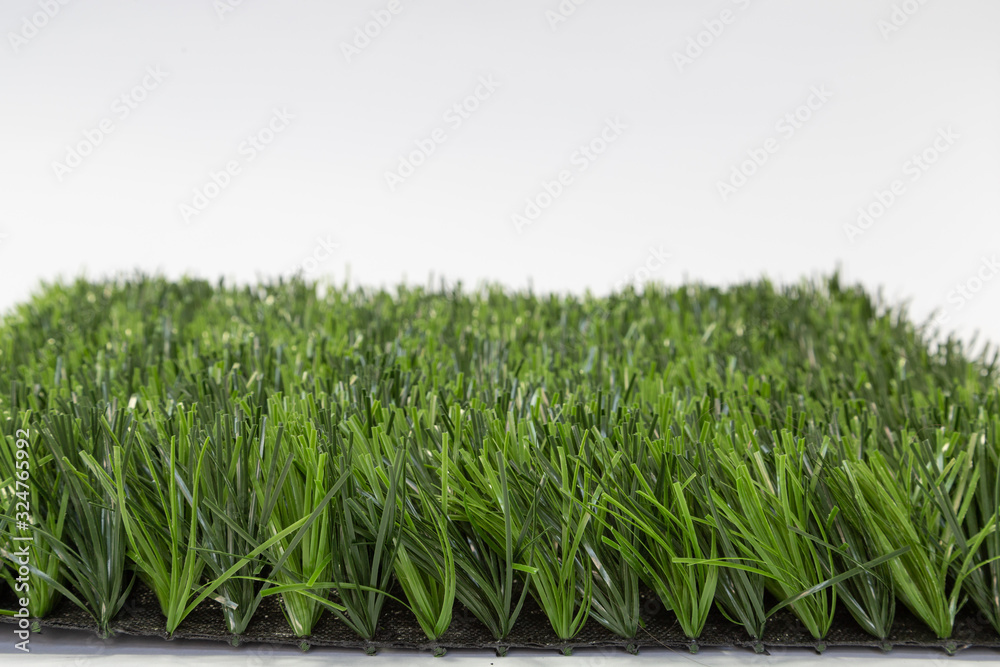 Piece of grass isolated on white, background Piece of grass isolated on white, background