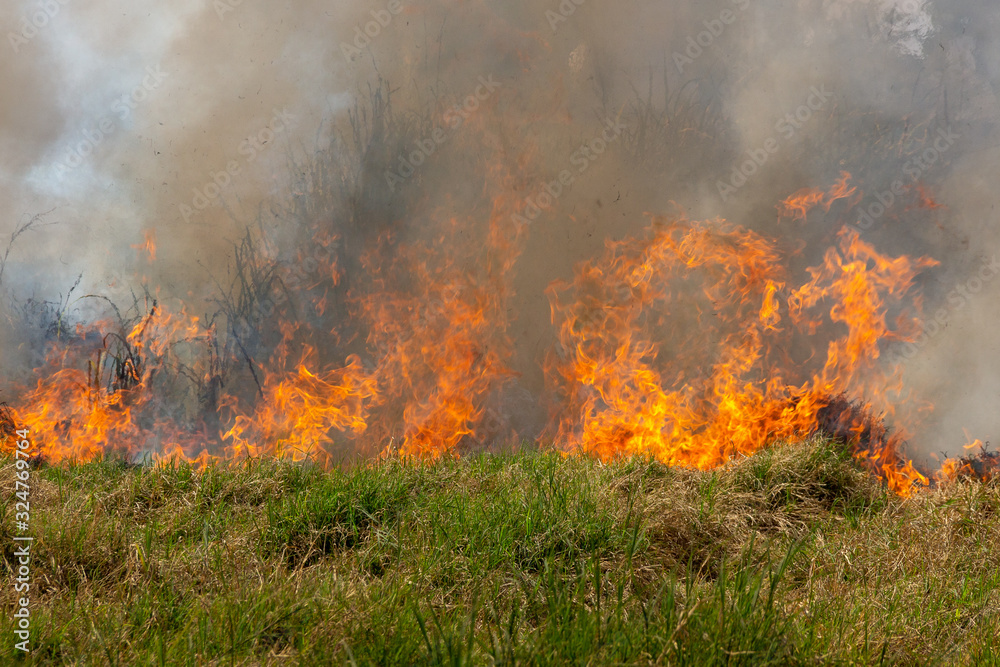 Big bushfire threatens homes