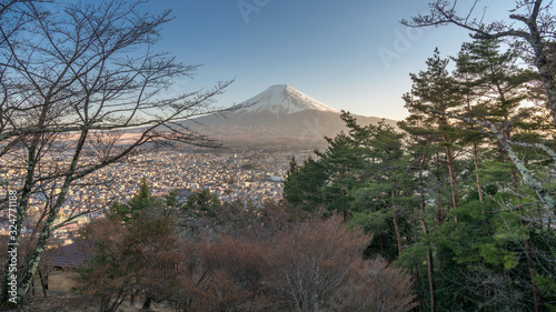 Canvas Print View of Mount Fuji with pine trees and cherry trees before blooming at Chureito in Japan