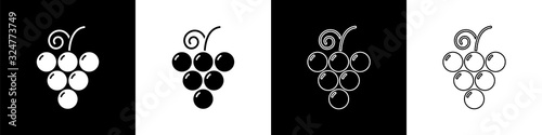 Set Grape fruit icon isolated on black and white background. Vector Illustration