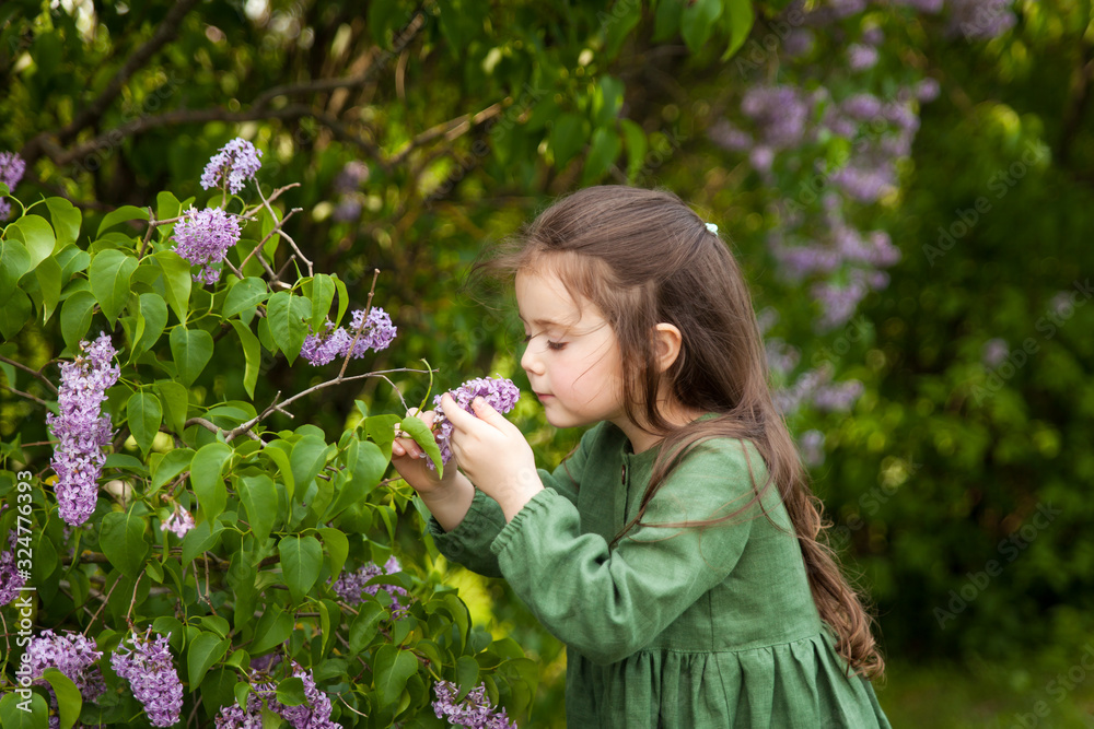 Cute girl has fun in the park with blooming lilacs, enjoys spring and warmth Cute girl has fun in the park with blooming lilacs, enjoys spring and warmth