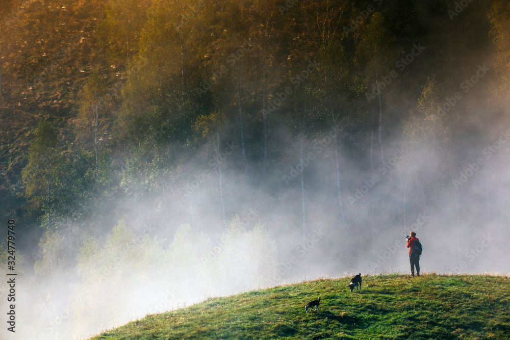 Photographer and her dog taking pictures of beautiful misty and foggy morning in golden hour on a peaceful meadow.