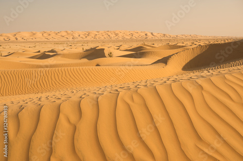 Fototapeta Naklejka Na Ścianę i Meble -  Orange sand dunes in desert