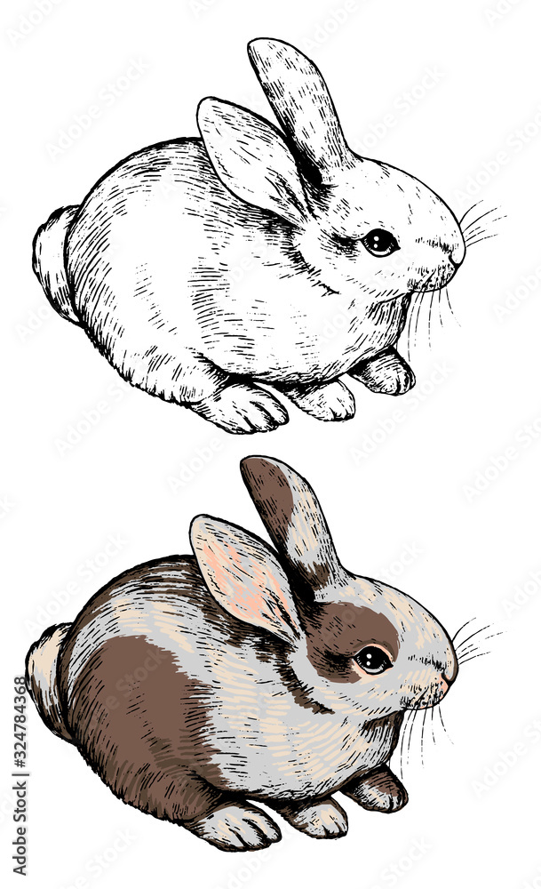 hand-drawn-vector-illustrations-contour-and-color-drawing-set-cute