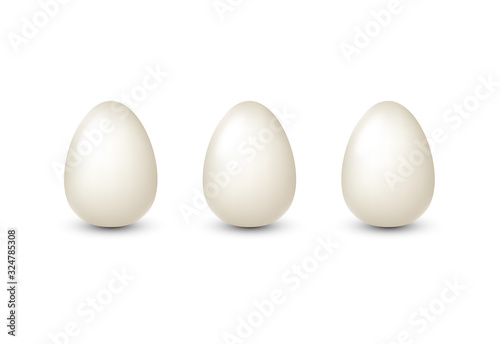 White realistic 3d eggs isolated vector illustration