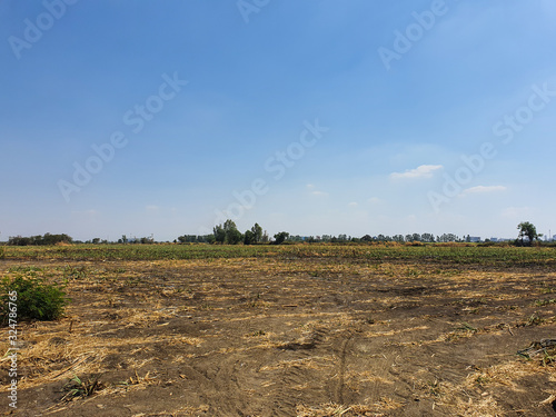 Drought fields and blue sky in Thailand