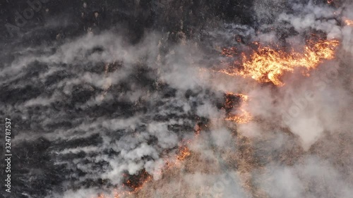 Field fire with flame and smoke, top down aerial drone view