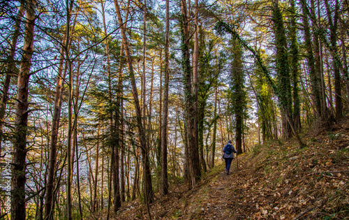 Breil sur Roya-Sentier de la Cougoule