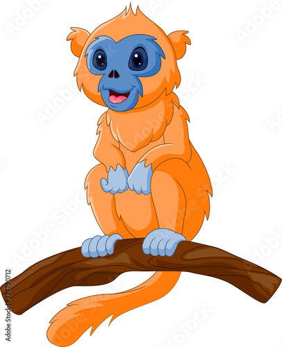 Cute cartoon snub nose monkey