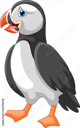 Cute Cartoon a puffin bird