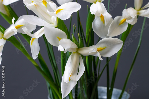 white irises flowers on a gray decorative background