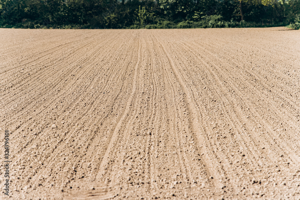 Ploughed field under a blue sky. A wide angle shot of a ploughed, tree-lined field. Ploughed field under a blue sky. A wide angle shot of a ploughed, tree-lined field.