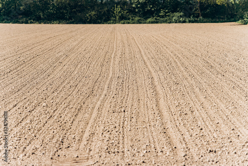 Ploughed field under a blue sky. A wide angle shot of a ploughed, tree-lined field.