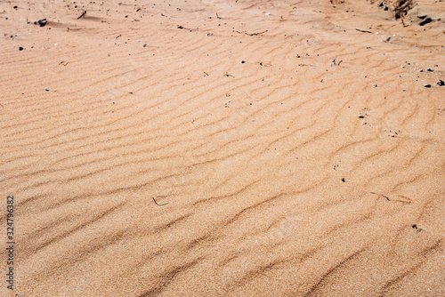Beautiful sand dunes in desert