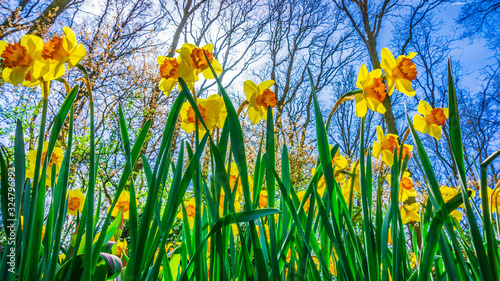 Valokuva Easter background with fresh spring flowers