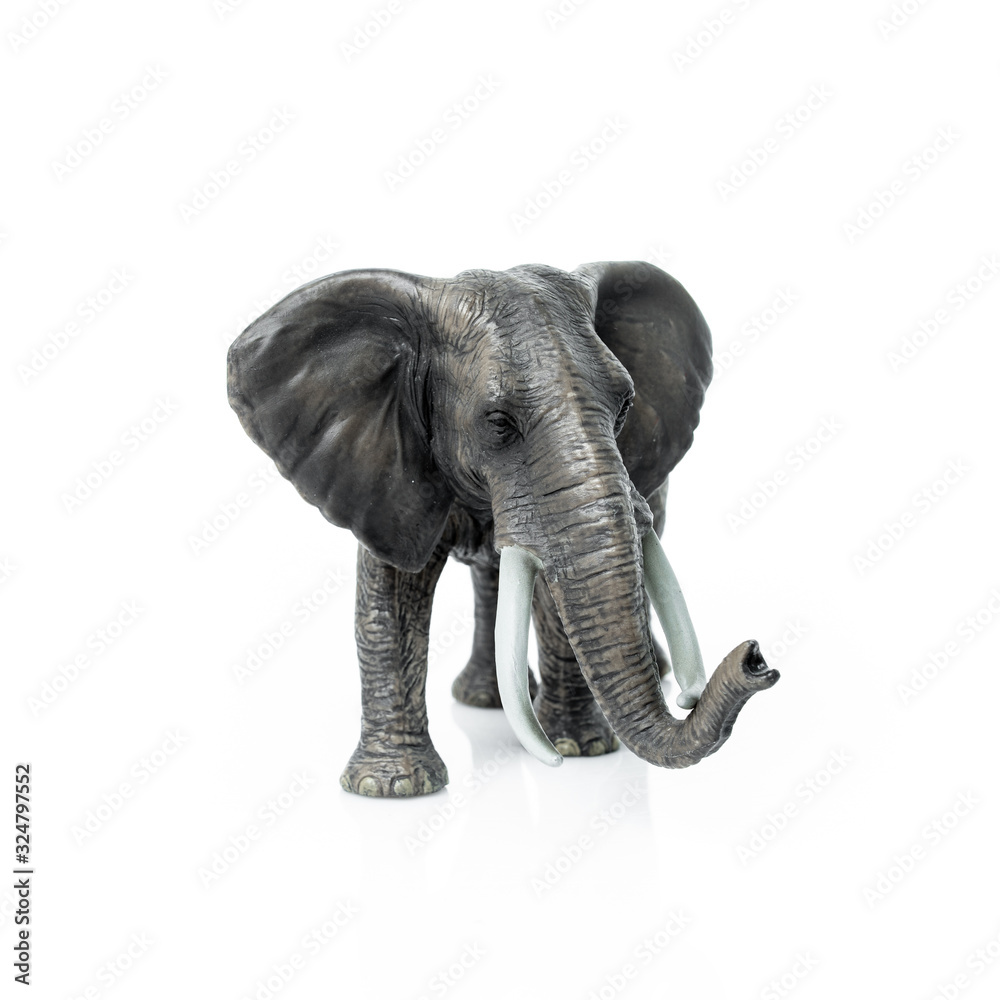 Obraz premium Portrait of an elephant isolated on the white background.