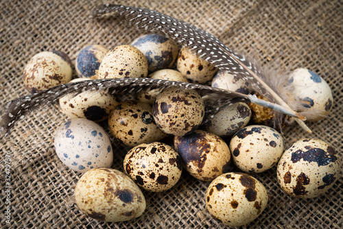 Obraz na płótnie quail eggs  on dark old  background