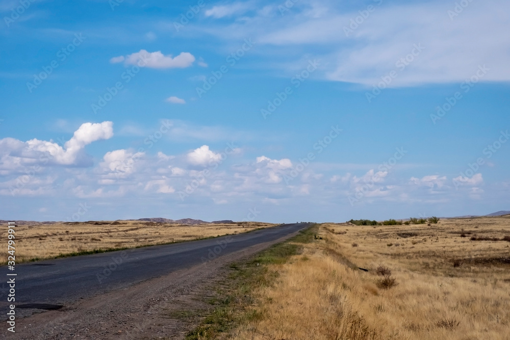 Asphalt road in steppe with cloudy sky background.