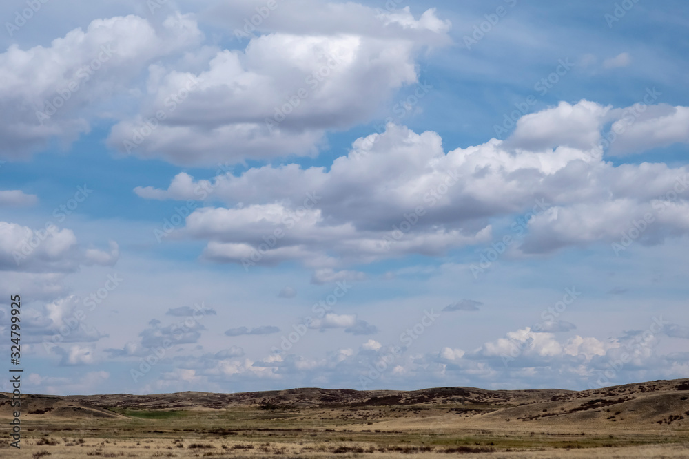 Kazakh steppe with cloudy sky background.