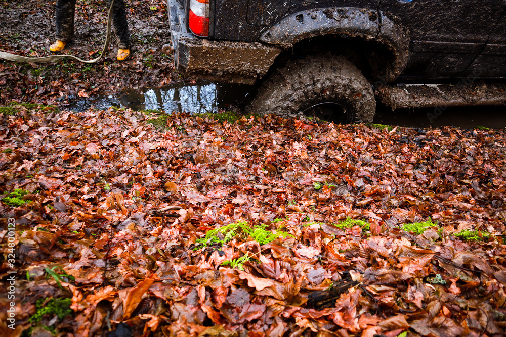 Riding the forest by car and buggy. Offroad trip to the mountains. Wheel in the swamp Riding the forest by car and buggy. Offroad trip to the mountains. Wheel in the swamp