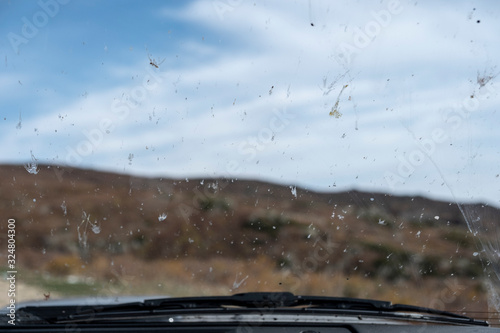 Dirty windshield with insects and dirt while driving. Dead bugs splattered on the windscreen.