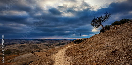 blue sky arid land road tree standing alone field dry hot
