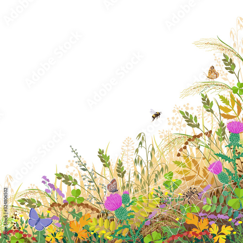 Colorful Border with Autumn Meadow Plants and Insects