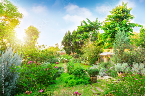 Cottage garden on green grass lawn backyard, landscape decorate with roses, flower plant, rosemary herb, lavender,  greenery trees under sunshine blue sky in charming and good maintenance landscaping photo