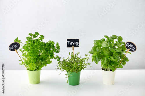 healthy eating, gardening and organic concept - green parsley, basil and thyme herbs with name plates in pot on table