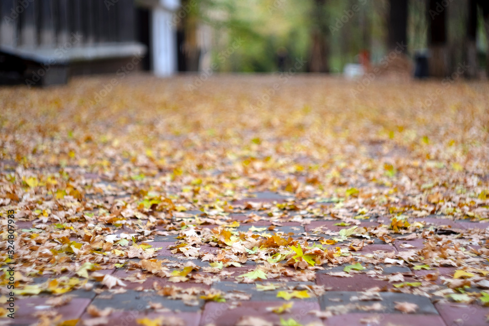 Stone pavement in perspective. Autumn in park. Pedestrian walkway with yellow leaves on it, selective focus. Stone pavement in perspective. Autumn in park. Pedestrian walkway with yellow leaves on it, selective focus.