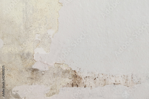 Rain water leaks on the ceiling causing cement damage, peeling paint and moldy.