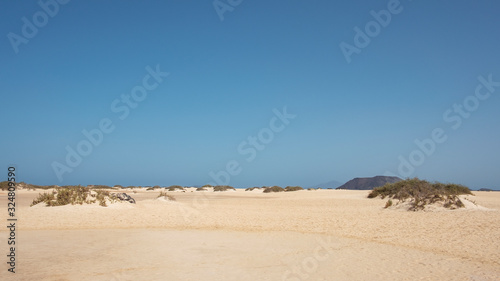 The Natural Park of the Dunes of Corralejo, breathtaking arid landscape shaped by hectares of golden sand, located in the municipality La Oliva, on the island of Fuerteventura, Canary Islands, Spain