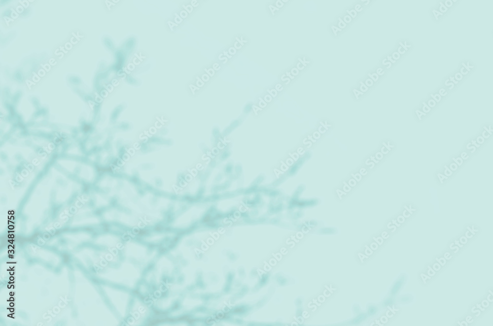Summer background of shadows branch leaves on a wall for overlaying a photo or mockup Summer background of shadows branch leaves on a wall for overlaying a photo or mockup