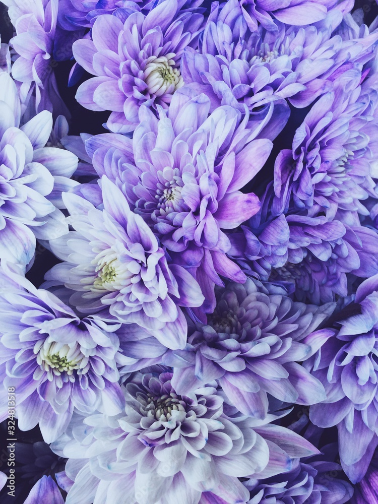Obraz premium Gifts for March 8 for girls and moms. Bouquets in the market. Purple flowers