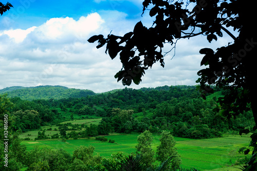 Hills and paddy field in bangladesh