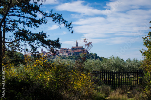 Panorama su Buie, piccolo borgo croato lungo la ciclovia Parenzana photo