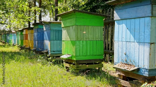 Closeup of beehives in sunny garden, Poland