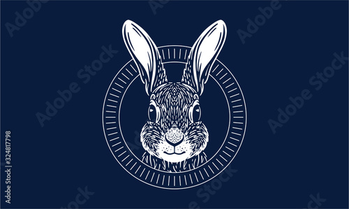 Rabbit on dark background. Chinese year of the rabbit.