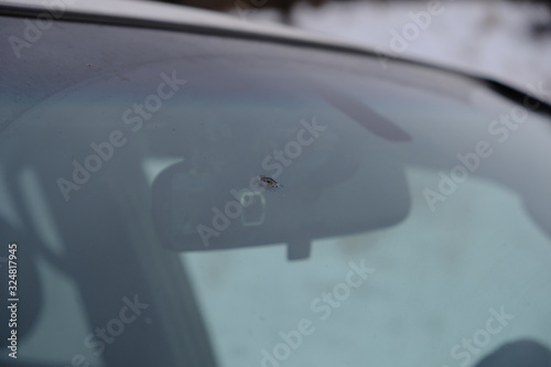 Chip in a windshield of car. Cracked windshield.
