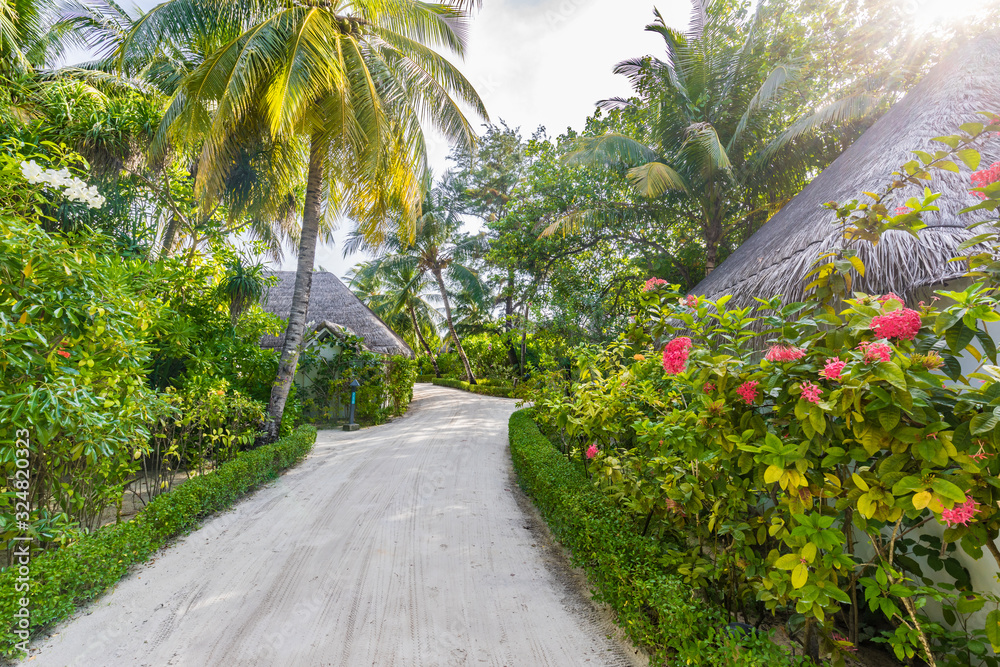Peaceful white sand pathway of a tropical resort in Maldives
