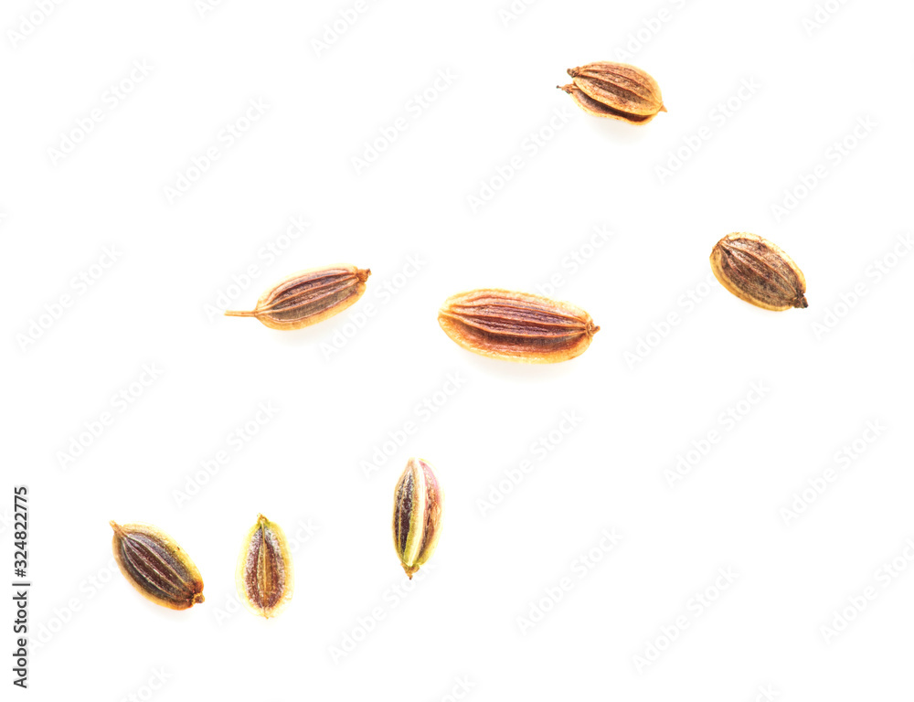 Dill seeds isolated on a white background