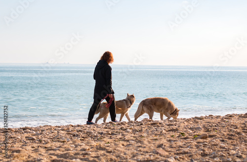 redhead girl is walking along the beach with two husky dogs