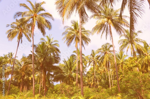 Ko Tao island in Thailand. Retro style filtered color.